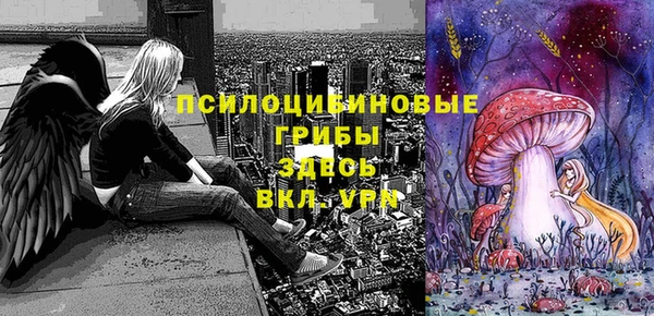 МДМА Алексеевка