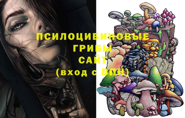 героин Алексин