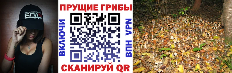 Галлюциногенные грибы MAGIC MUSHROOMS  Купить  Воркута 